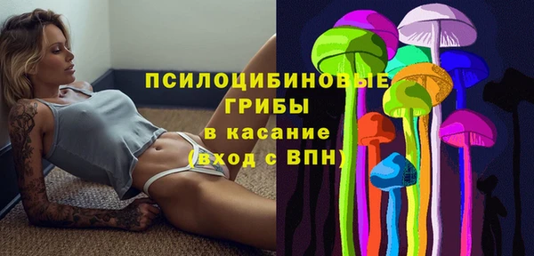 не бодяженный Абаза
