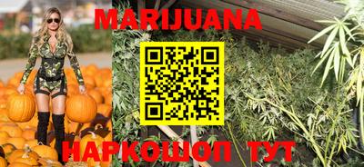 мдпв Ставрополь