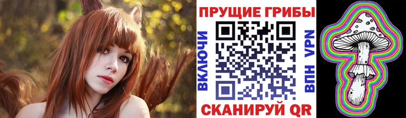 как найти закладки Отрадный Псилоцибиновые грибы ЛСД
