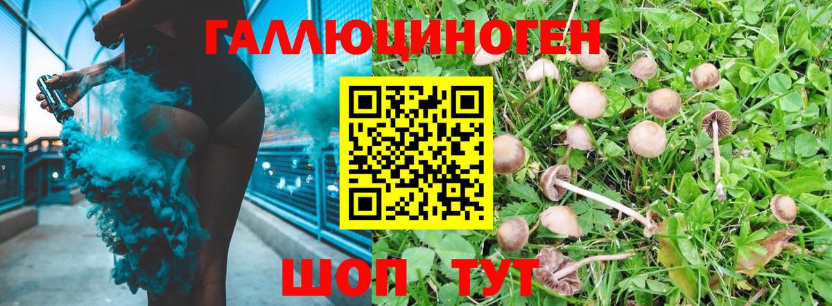 Отрадный  Галлюциногенные грибы прущие грибы  Вход с VPN  наркошоп  Псилоцибиновые грибы ЛСД 