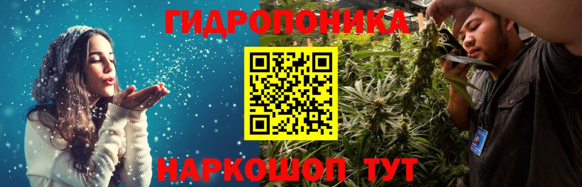 Каннабис OG Kush Отрадный